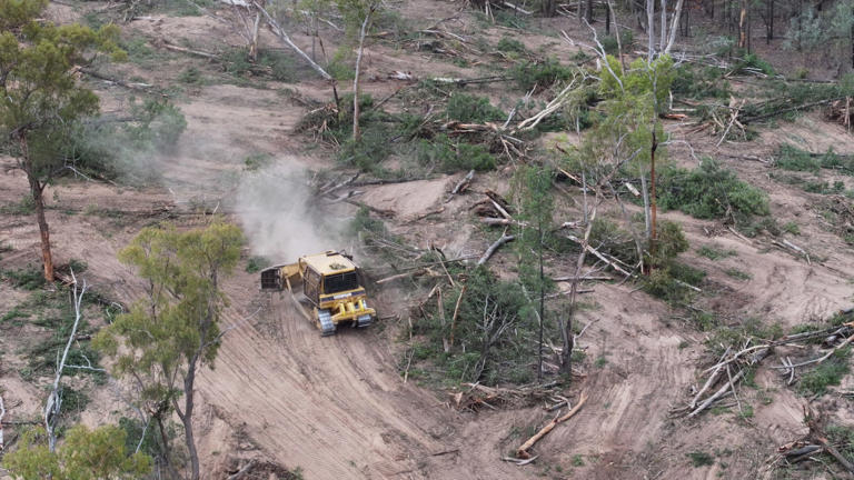 Land-clearing concerns spark call to scrap NSW invasive native species code