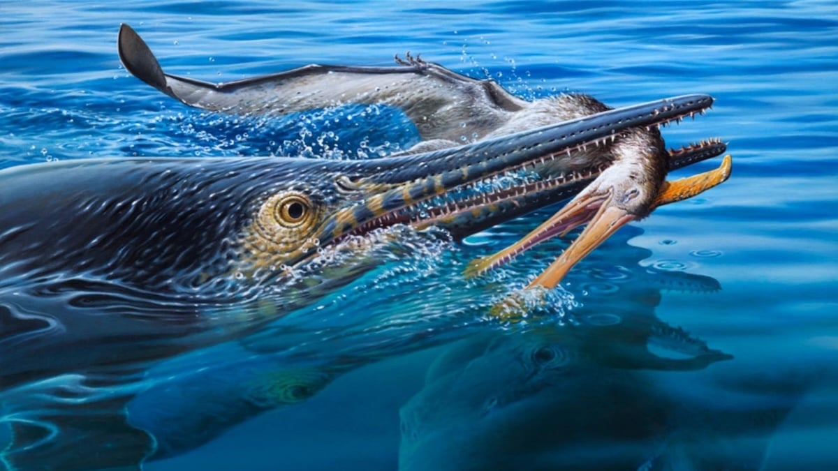 Epic 'turducken' fossil reveals ancient sea monsters devouring each other