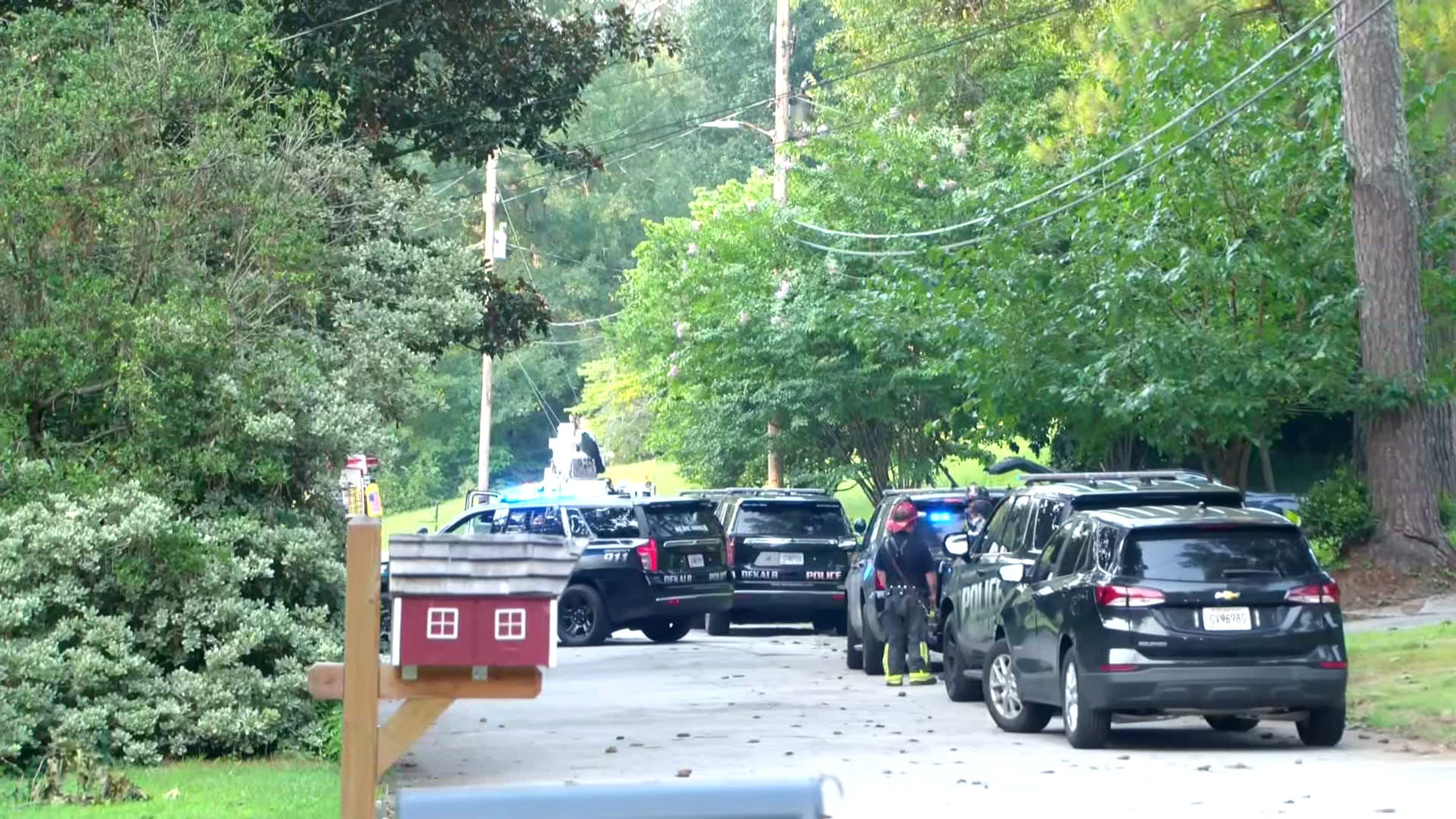 Woman killed after tree falls near DeKalb County home