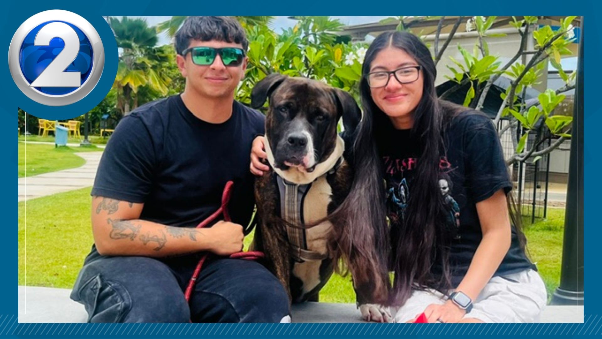 Hawaiian Humane Society adopts 542 animals during 'Empty the Shelter' event