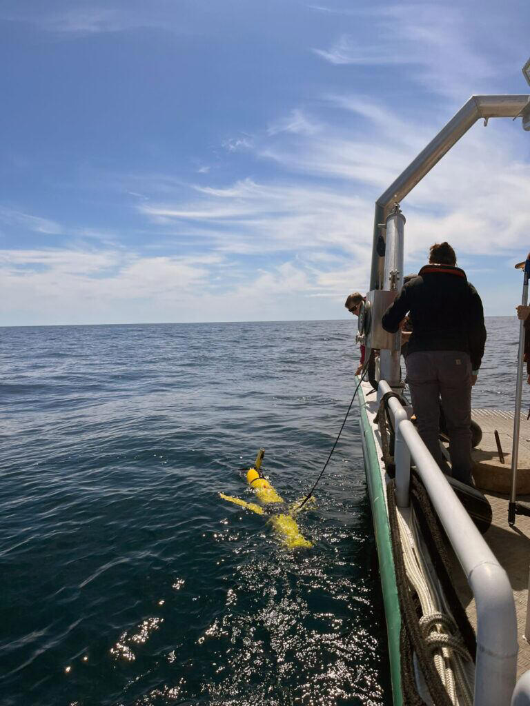 What’s behind Lake Erie’s steep yellow perch decline?