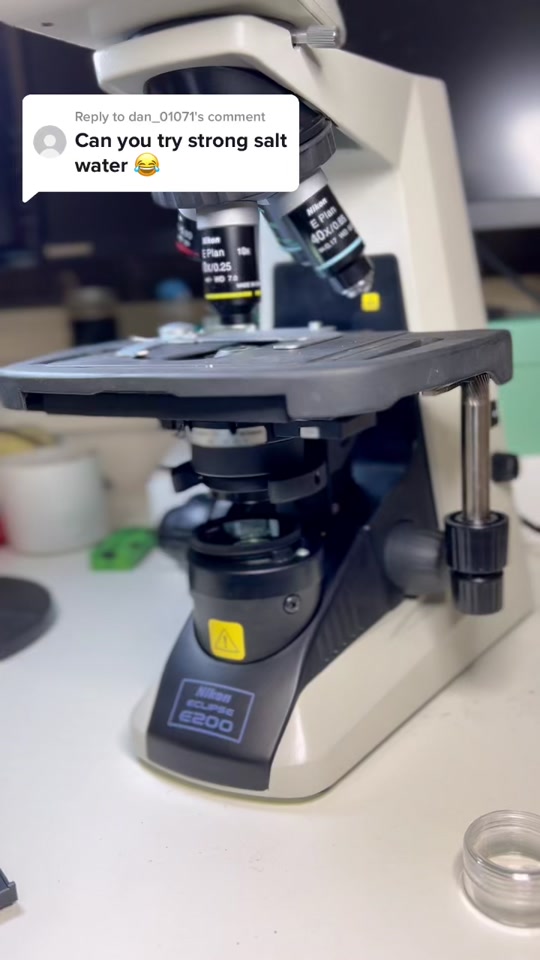 Salt VS bacteria microscopic battle