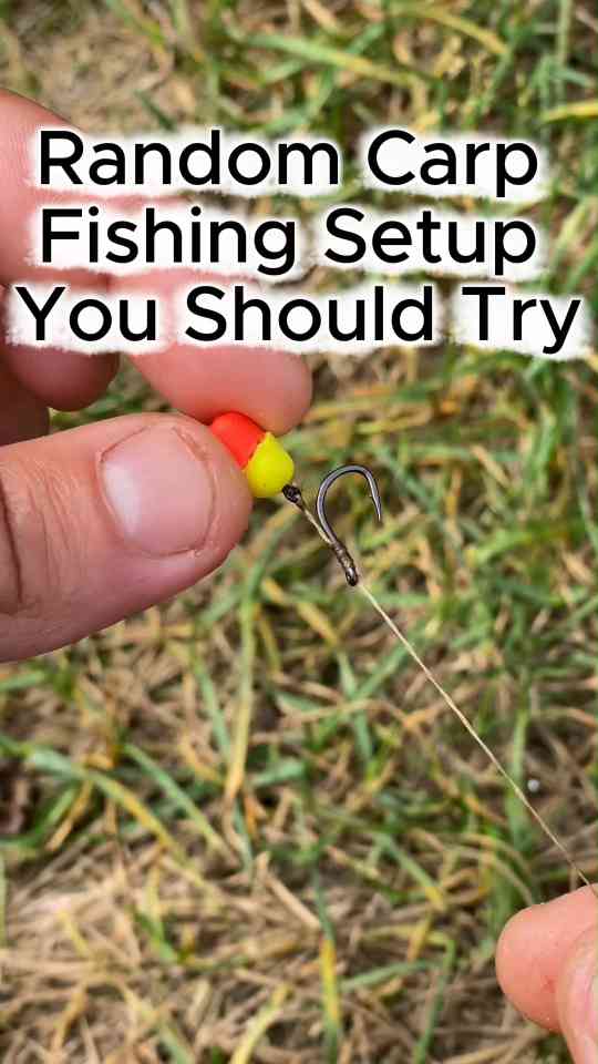 Random carp fishing setup worth trying