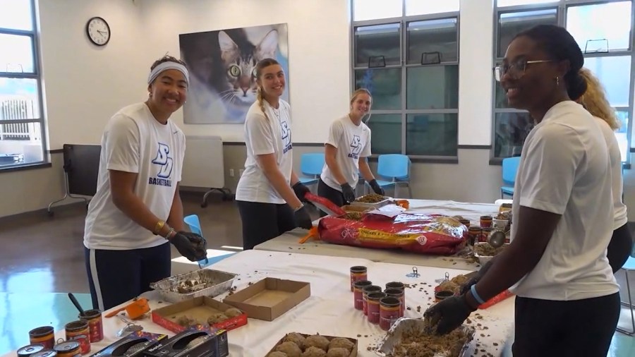 USD women's basketball team helps humane society while it faces overcrowding