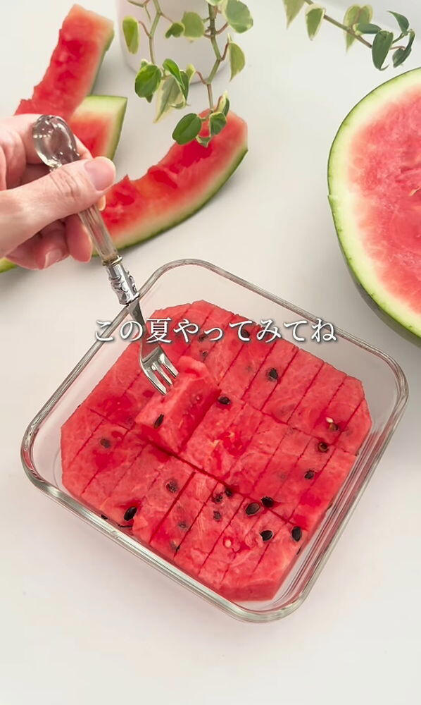 【便利】冷蔵庫で保存しやすい・食べやすい! 斬新なスイカの切り方に「その手があったか」「スイカ買いに行ってきます」と驚き