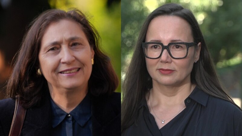 Victorian ministers Harriet Shing and Lily D'Ambrosio announce retirement