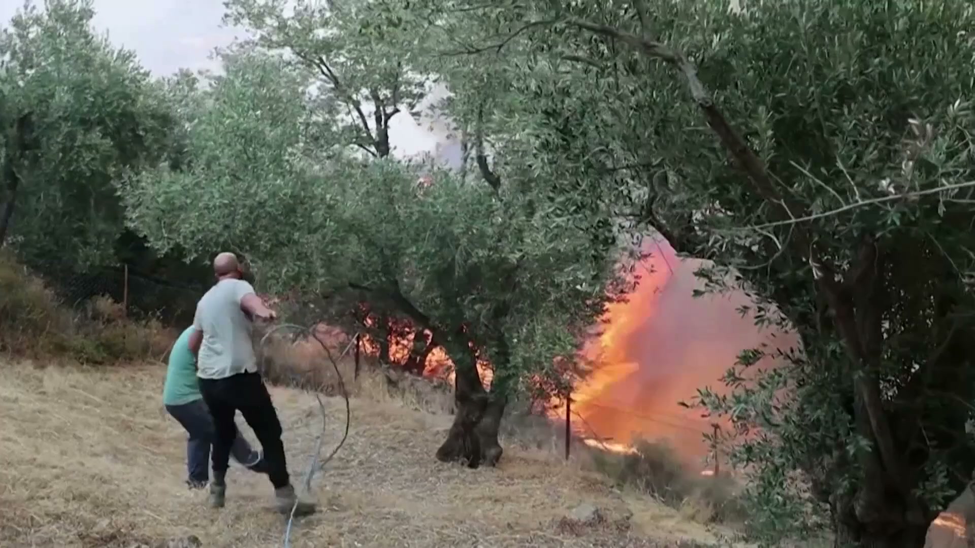 Wildfires in Greece: Blaze out of control in Rethymno, Crete