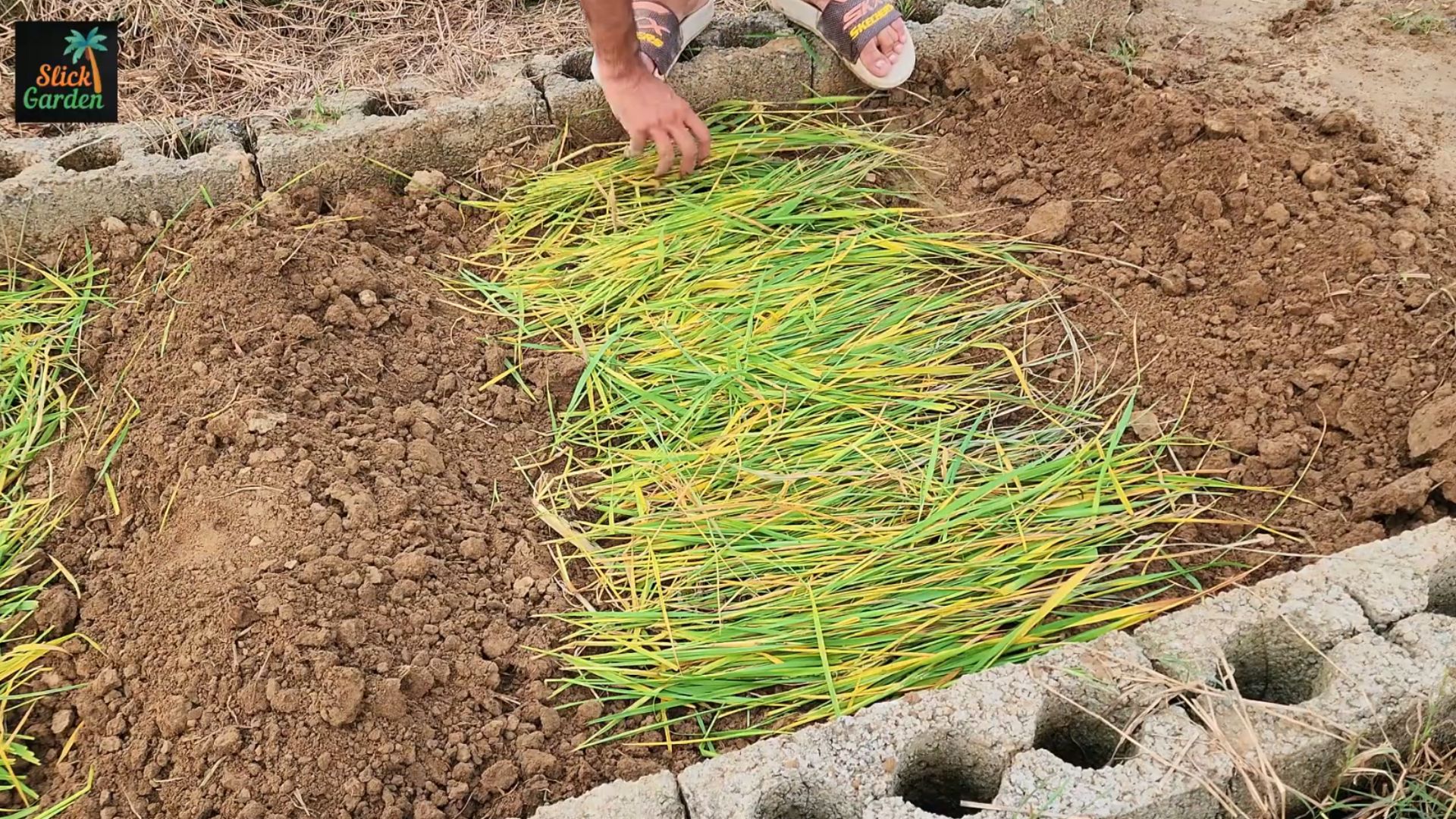 Organic gardening: How to build super fertile soil from scratch