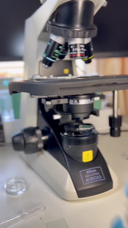 Vinegar VS bacteria microscope test