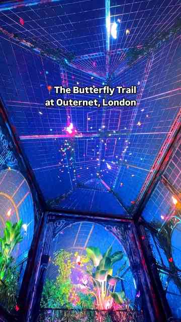 The magical digital art experience everyone needs to see