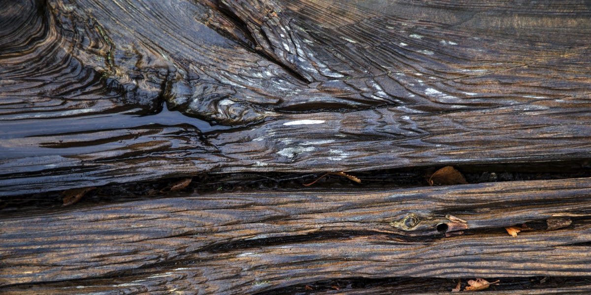 Archaeologists found a 476,000-year-old wooden structure. No one knows ...