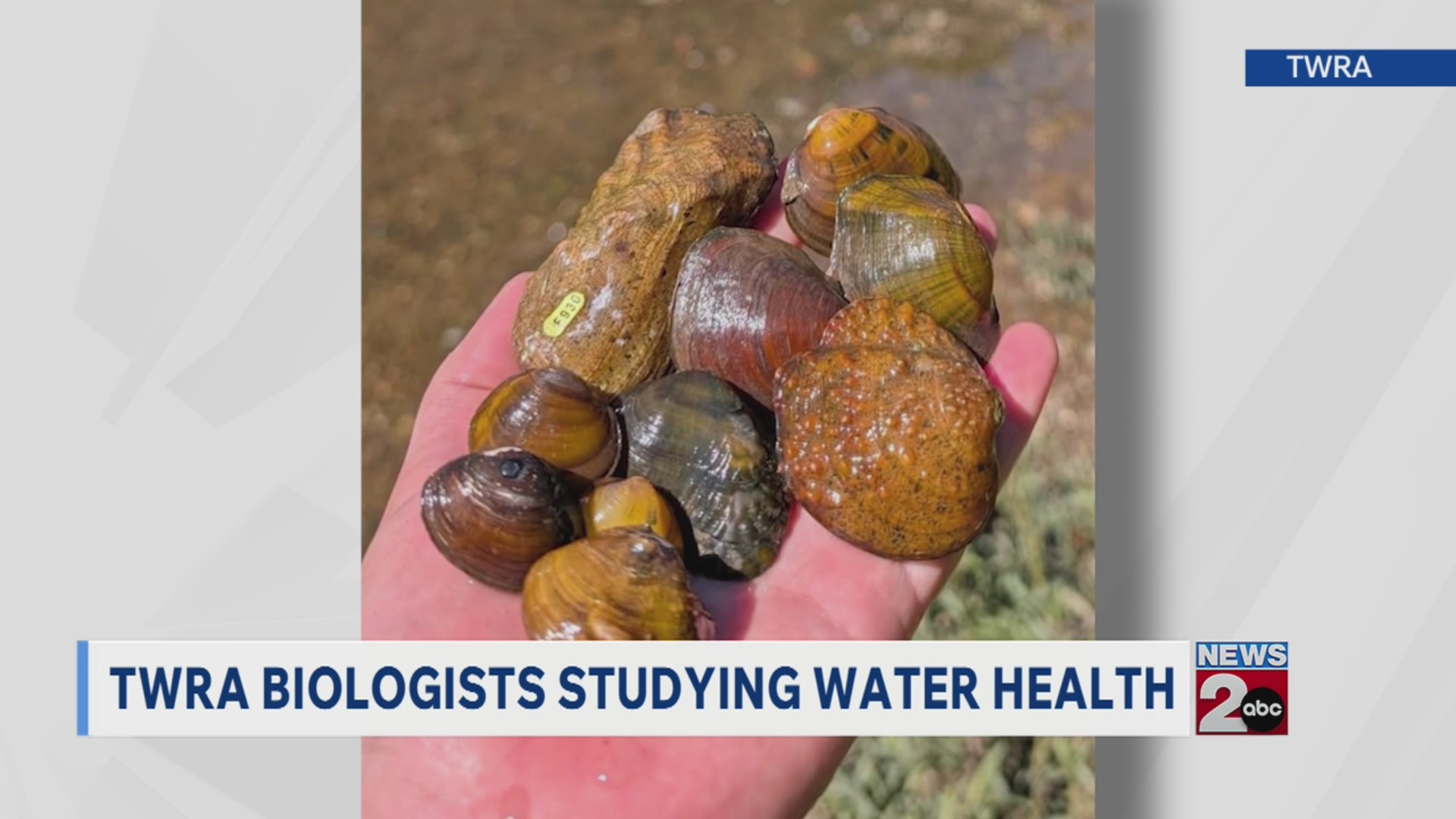 TWRA biologists studying water health