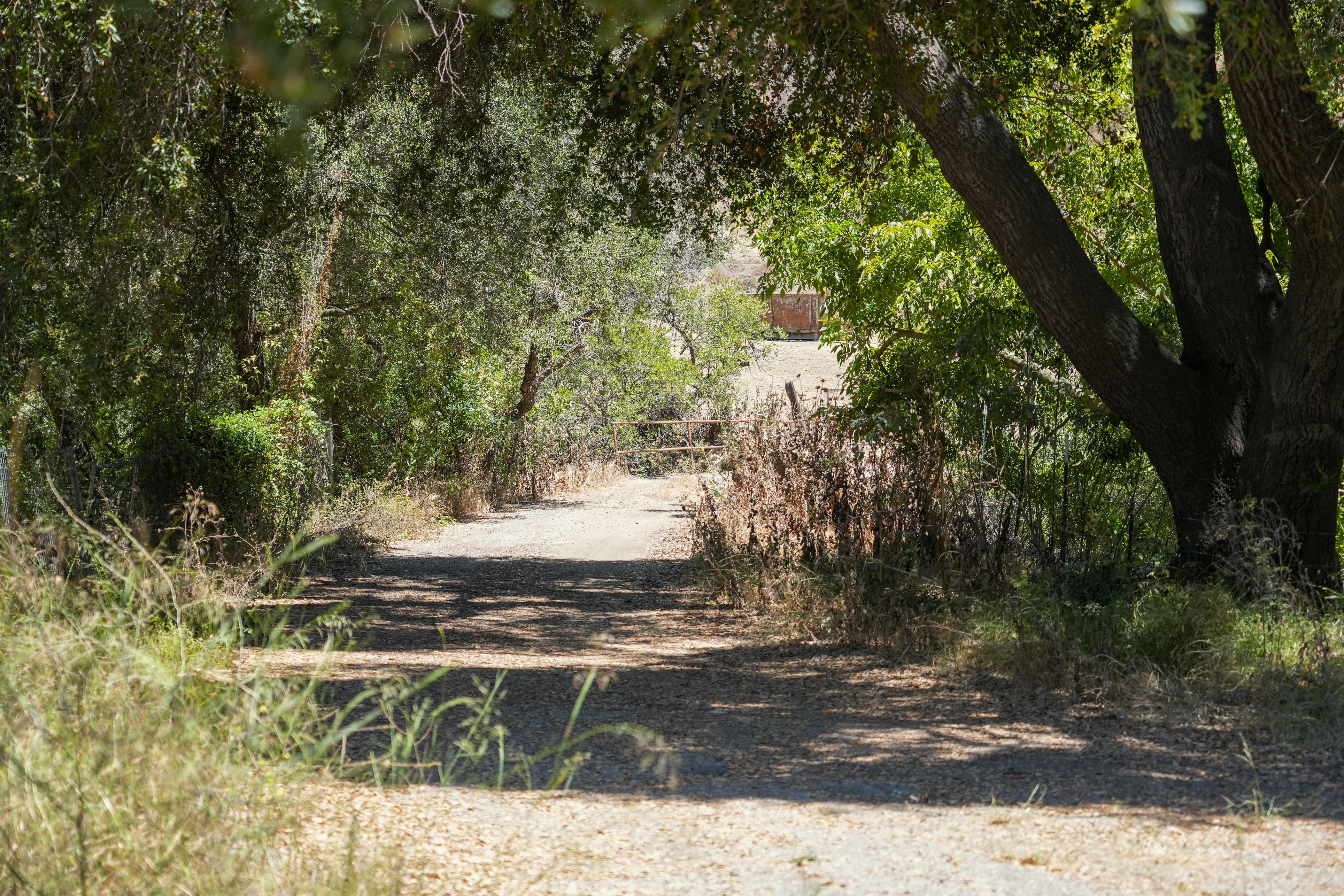 Owner of historic ranch near Santa Paula faces lawsuit, bankruptcy