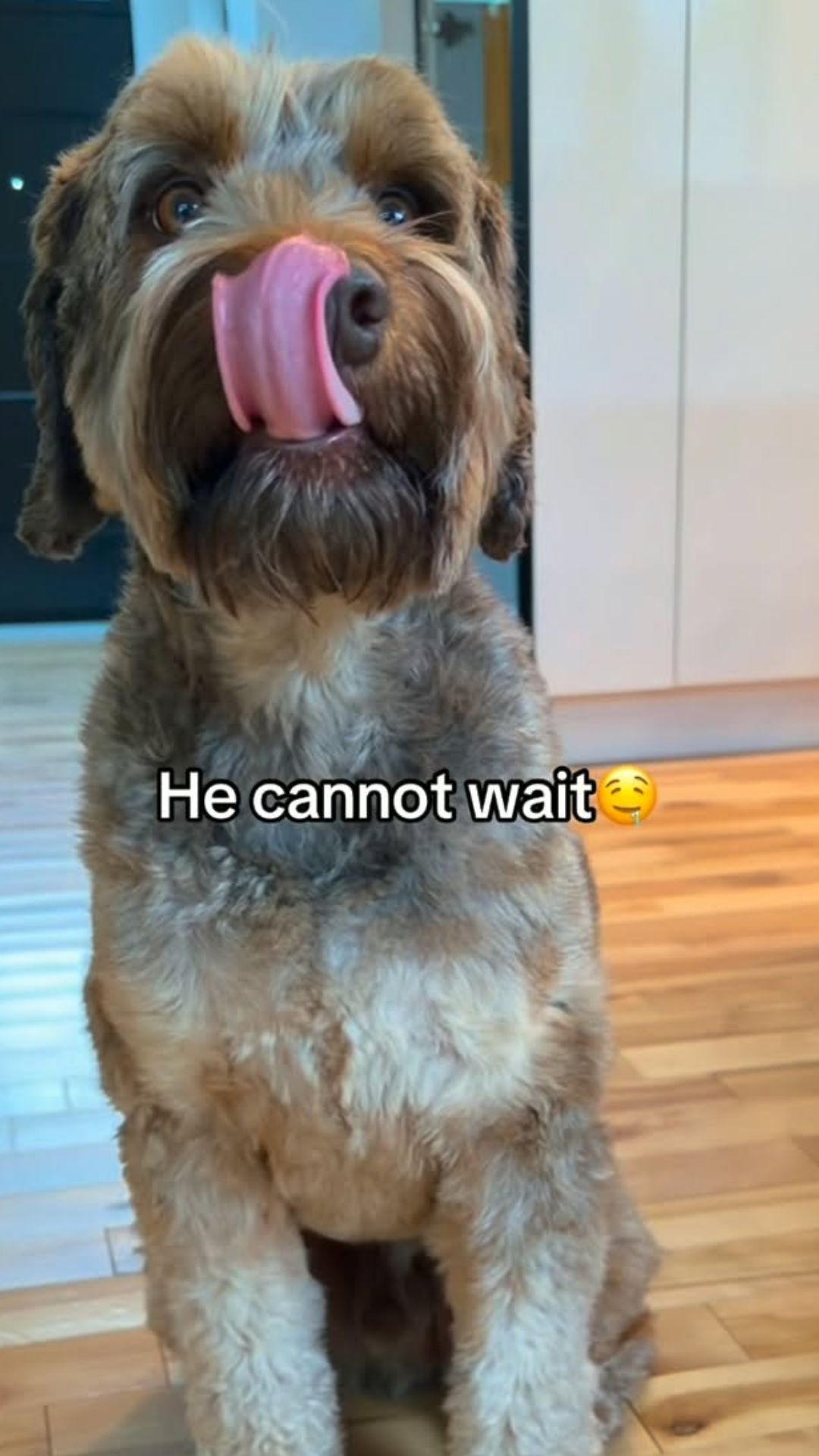 Homemade dog chews made with simple ingredients