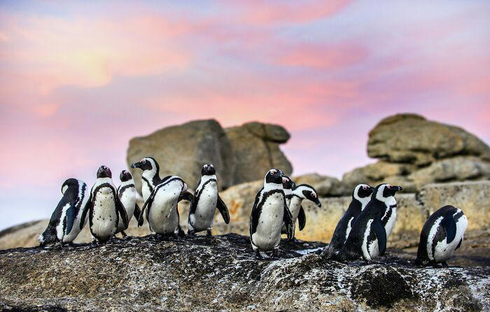 65 random facts about practically anything