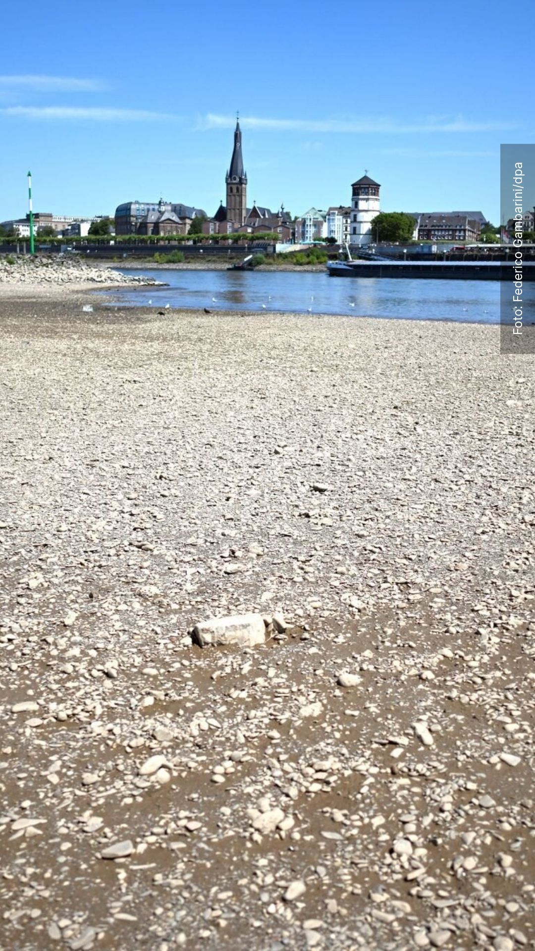 Niedrigwasser im Rhein sorgt für Probleme