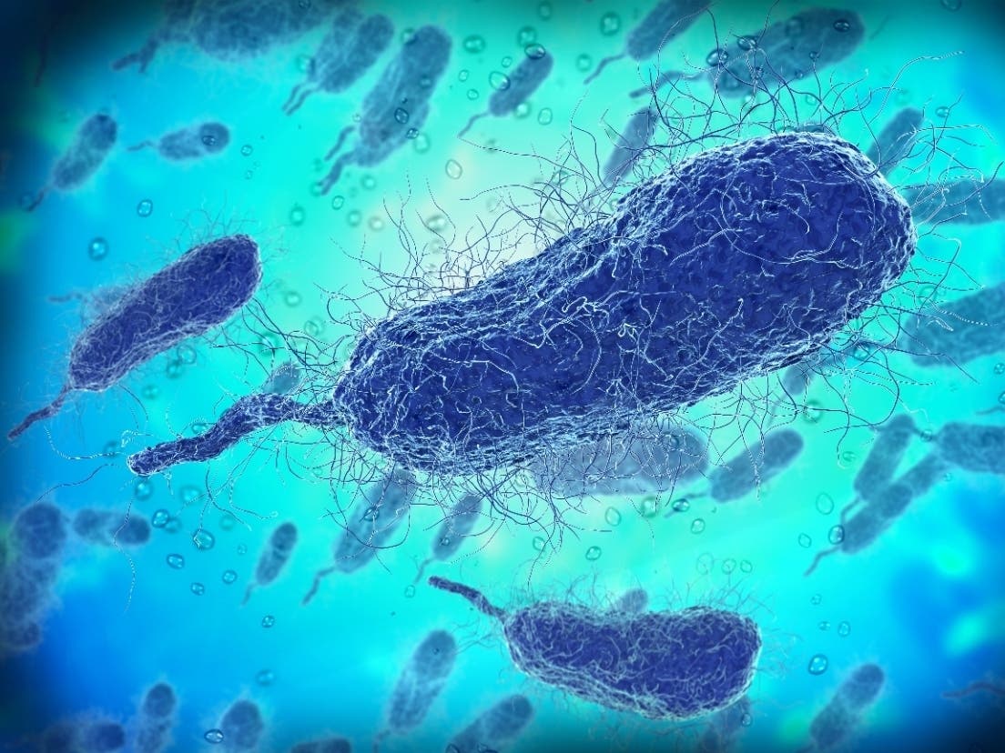 First 'flesh-eating bacteria' death of the year reported in FL, data shows