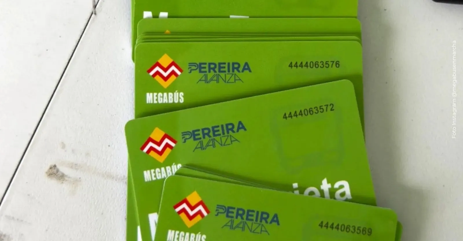Megabús en Pereira ¿por qué está fallando la validación de la nueva ...