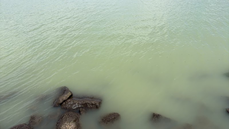 Avoid swimming in Utah Lake: Harmful algae bloom warning advisories issued for marinas and beaches
