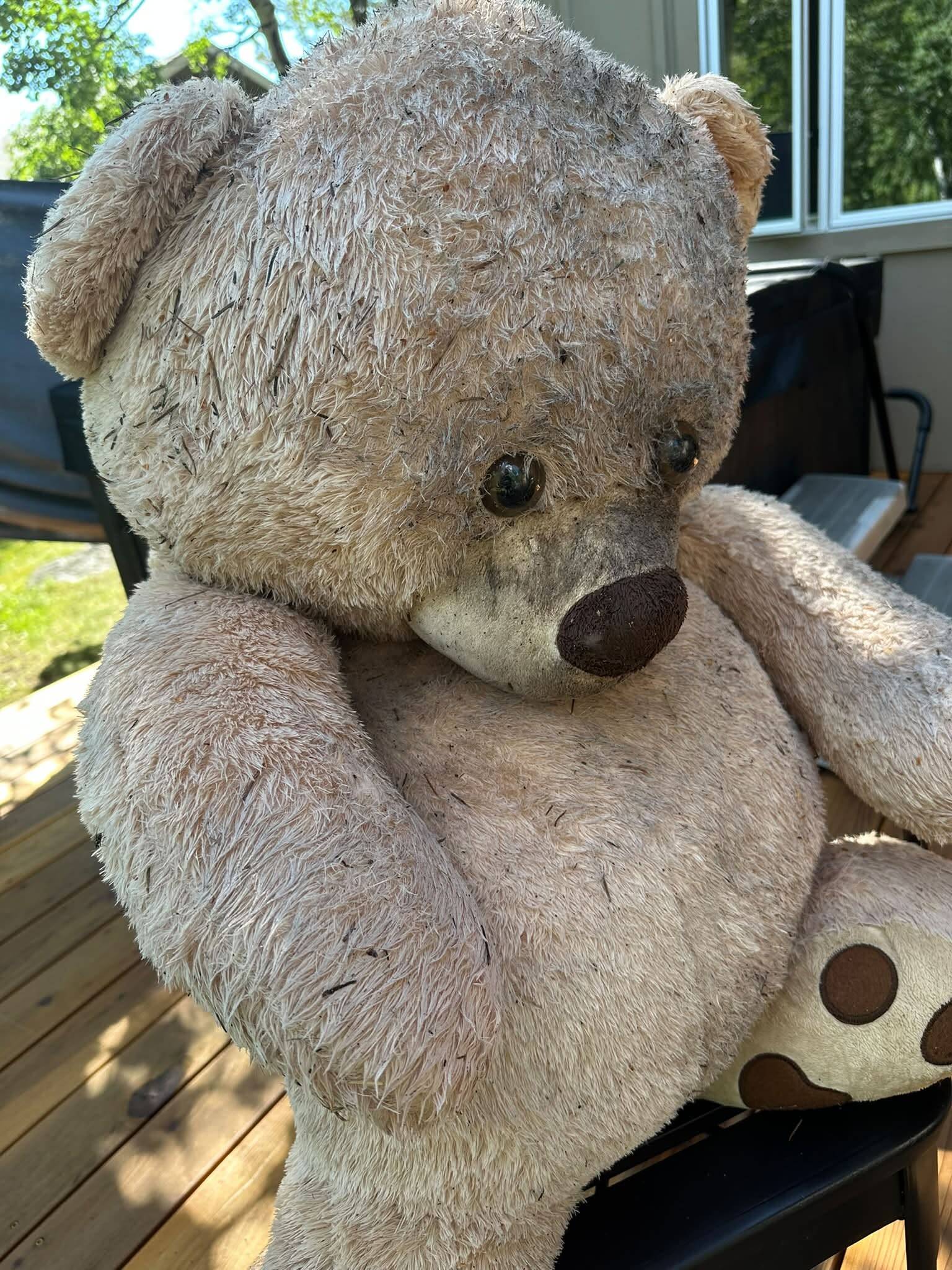 Bear finds a giant teddy bear in the woods — and makes an unexpected friend