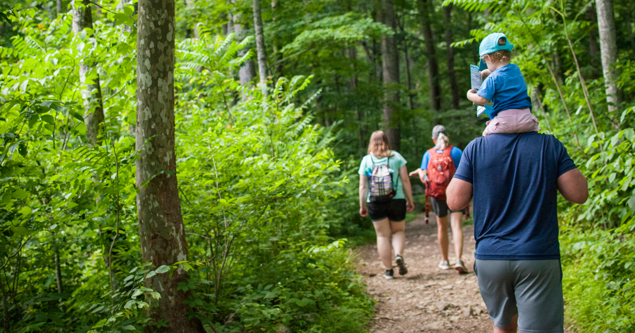 Public health leaders offer Virginians advice about tick bites
