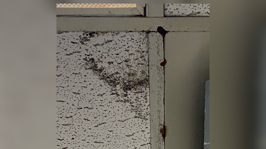 'Completely unacceptable': Mold, damaged ceiling tiles among concerns at La Vergne High School