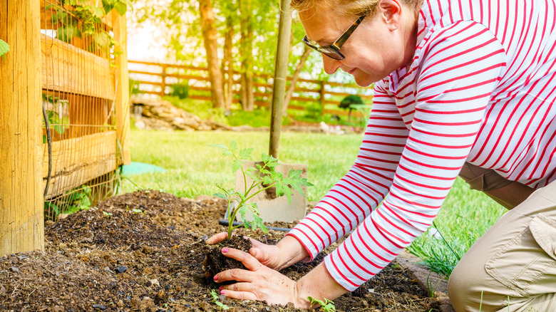The simple gardening tool that makes the task safer for older adults