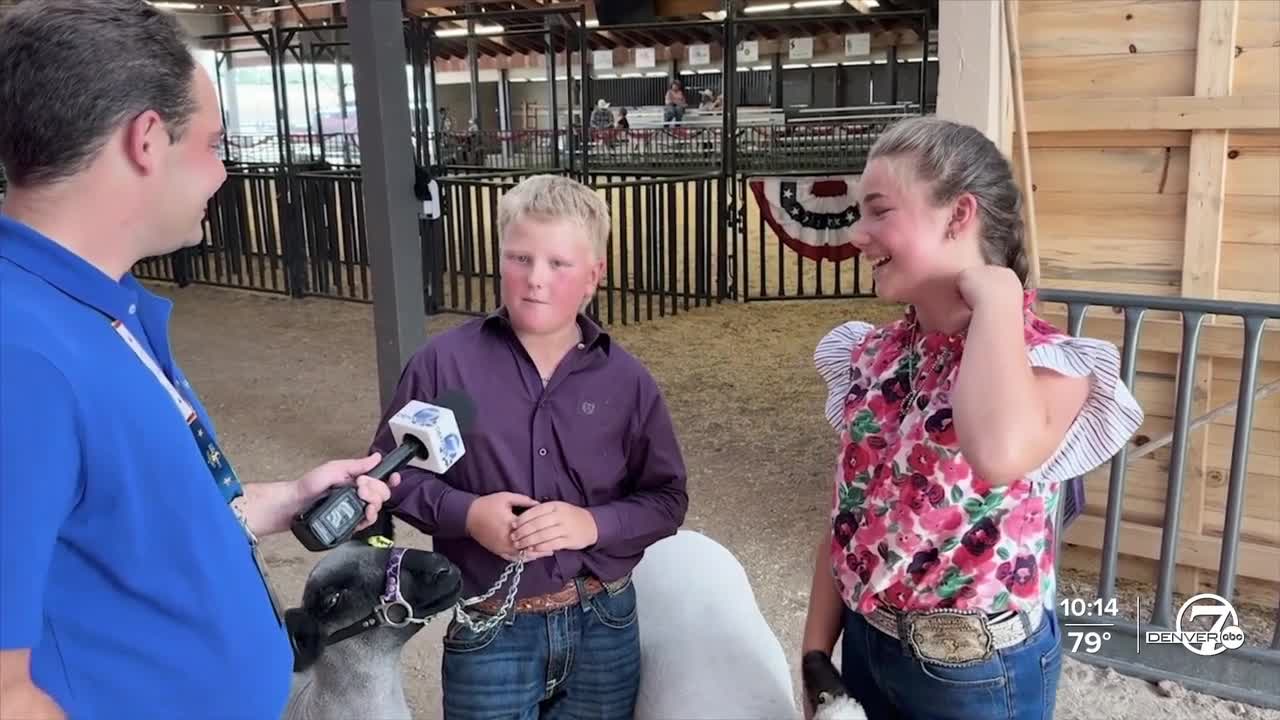 Denver7 listened to 'Your Voice' at the Douglas County Fair & Rodeo