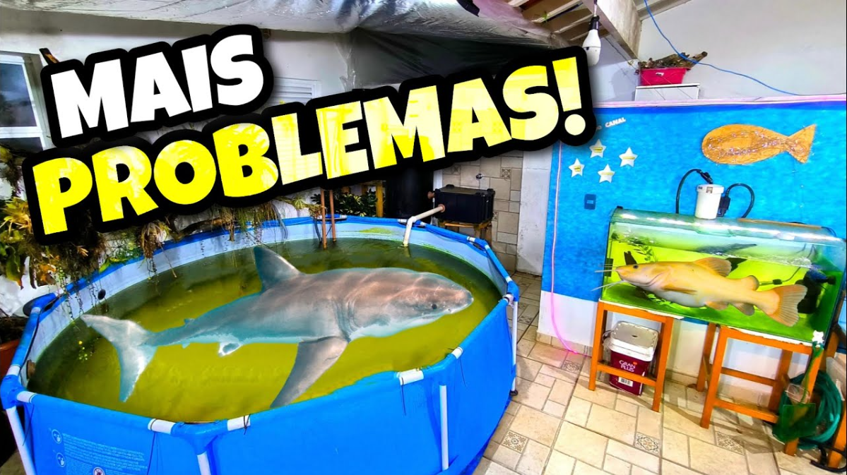 Salvando Meus Peixes Raros de Novo Situação de Emergência no Aquário!
