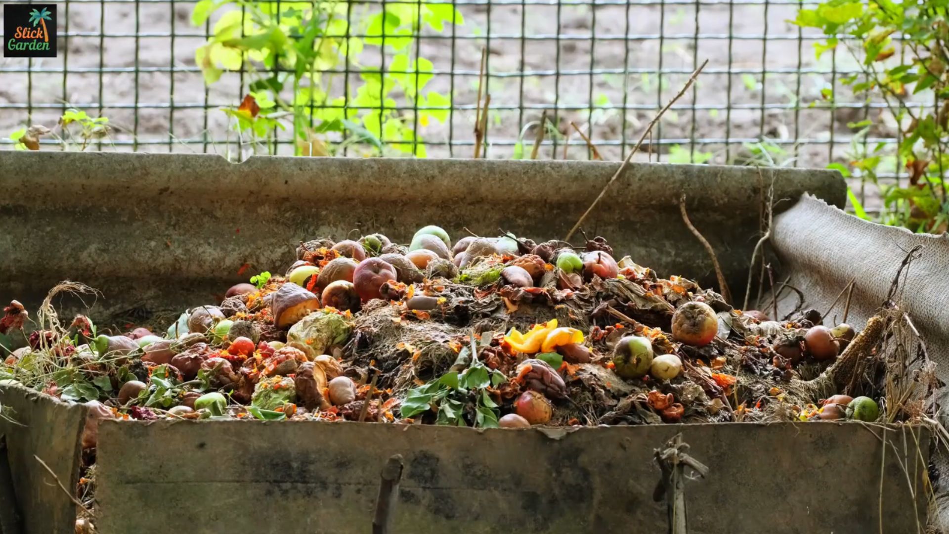 Small space gardening hack: The easiest way to make compost at home