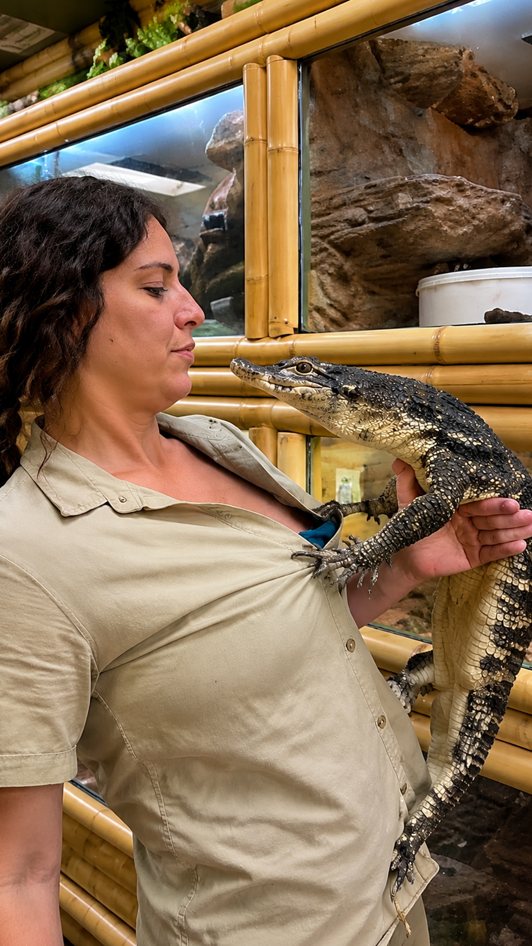 Food-motivated monitor lizard makes one unexpected leap toward its keeper