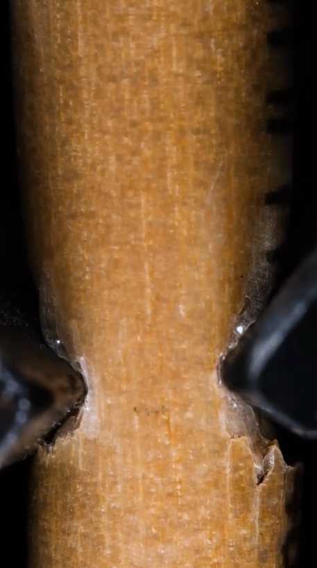 Hyper realistic macro details you have to see