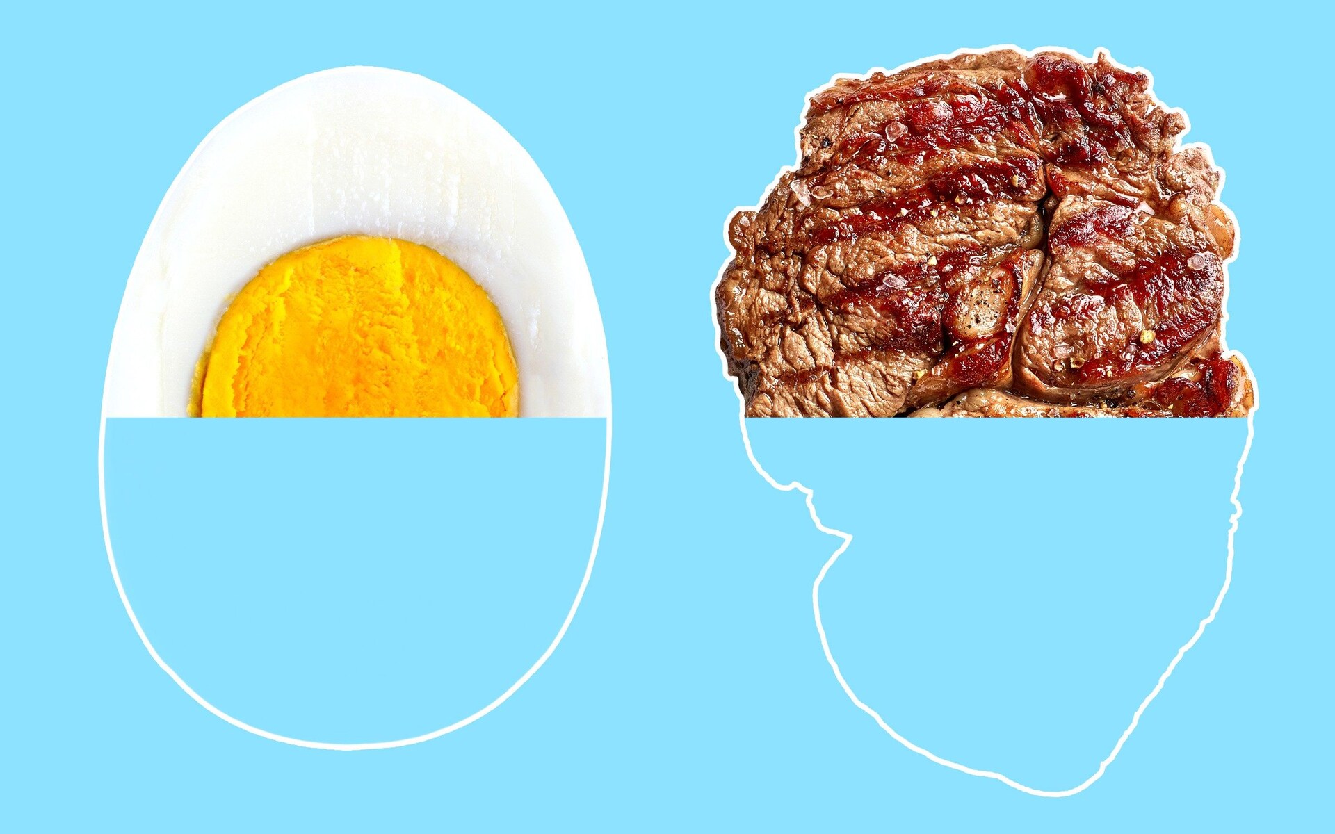 Why eating too much protein could shorten your life