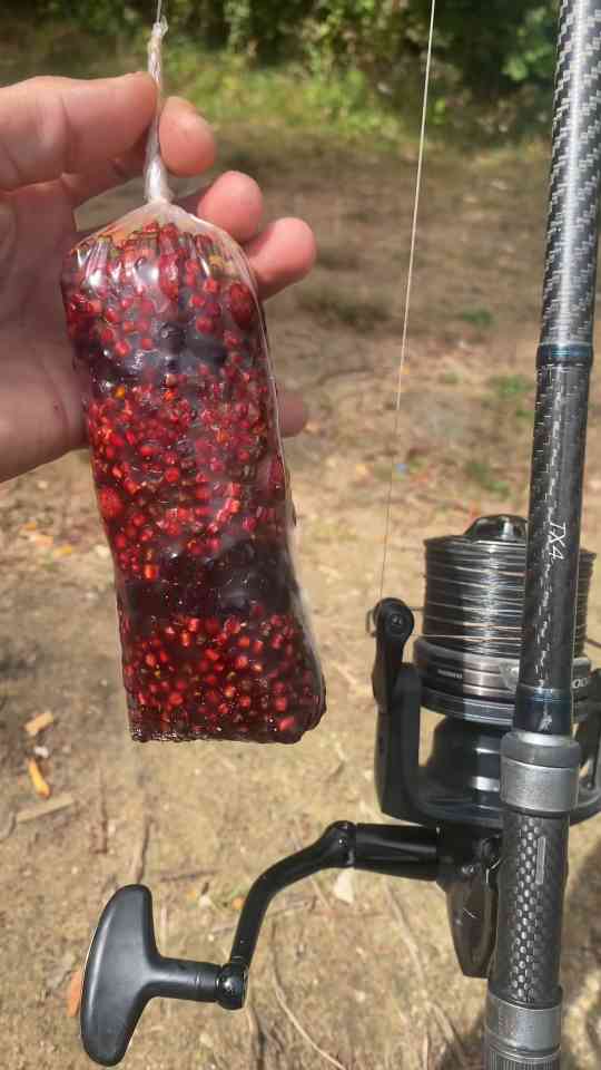Essential carp rig preparation steps for anglers