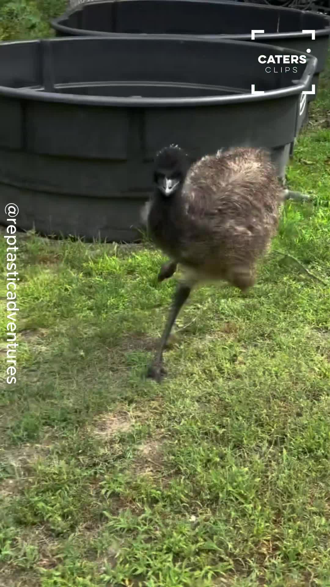 Unlikely best friends turn backyard into a race track