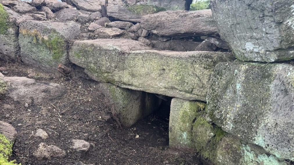 Scoperta una Tomba dei Giganti di 3.500 anni fa nascosta nella vegetazione: la sorpresa degli archeologi