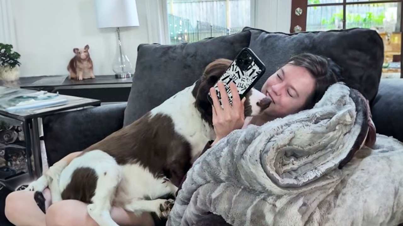 Cat decides it’s time to put an end to screen time