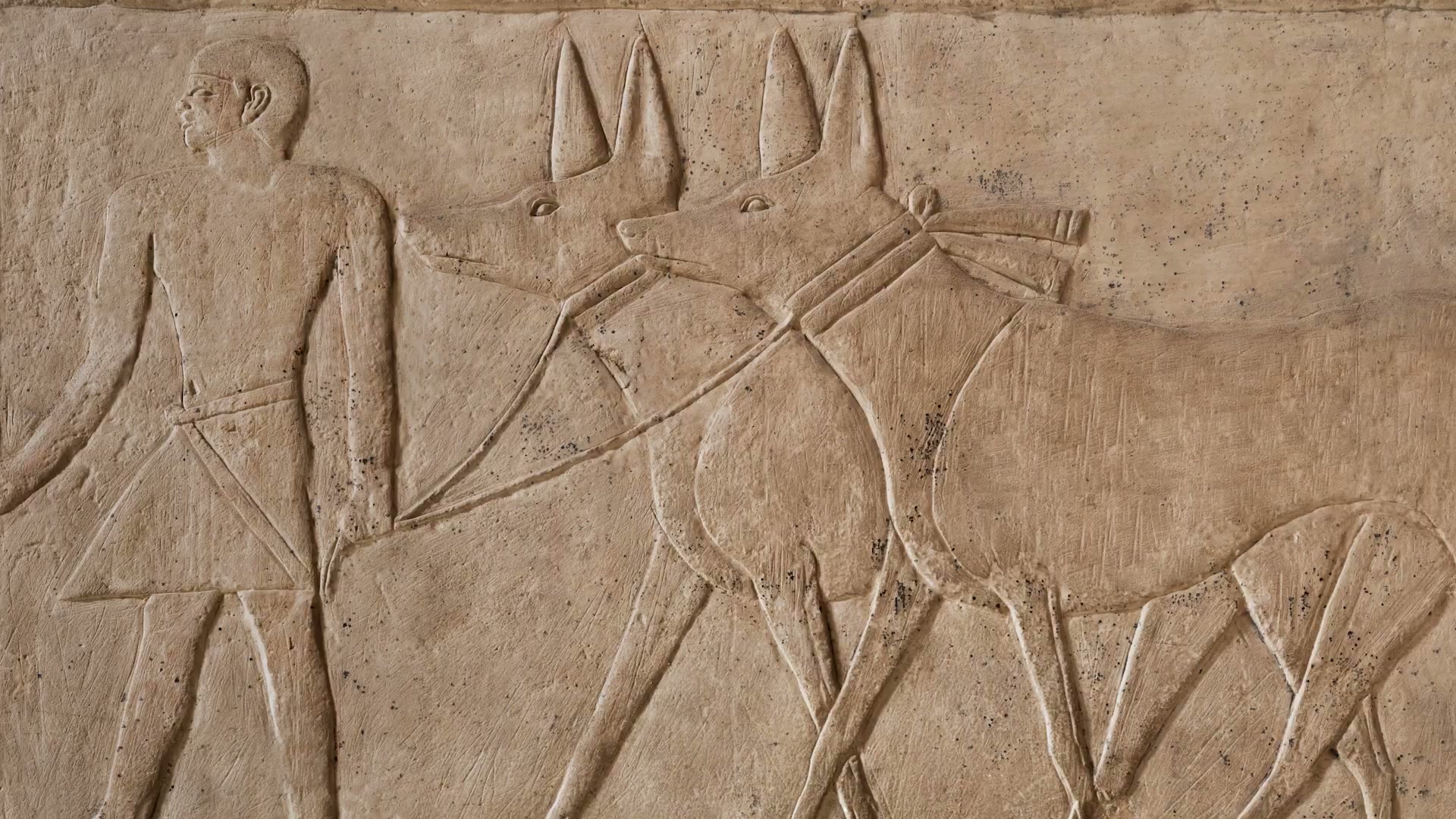 The dark reason dogs were feared in the Bible
