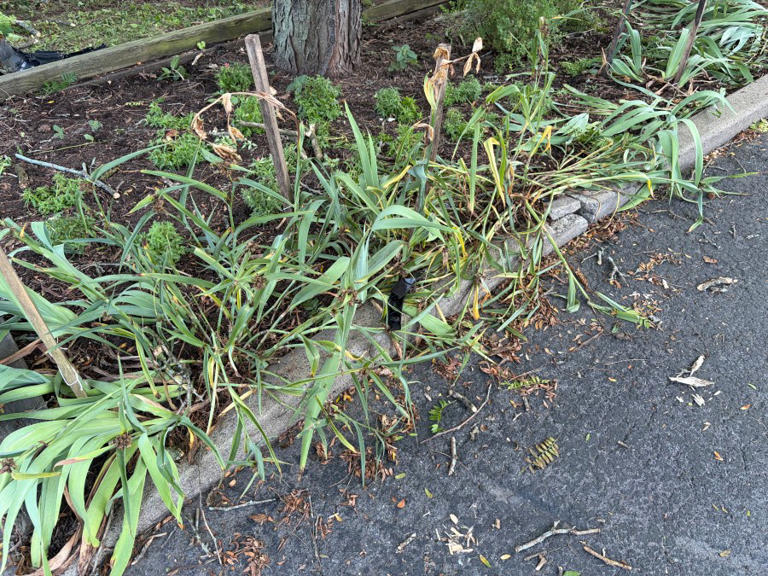three-year-old-girl-killed-in-overnight-crash-in-syracuse