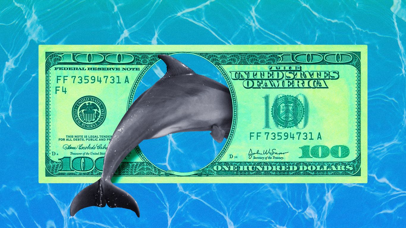 Court battle over the fate of a dolphin deal
