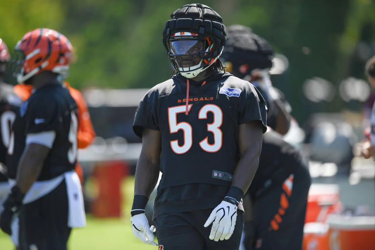 bengals-have-one-of-their-deepest-defensive-tackle-groups-despite-hill