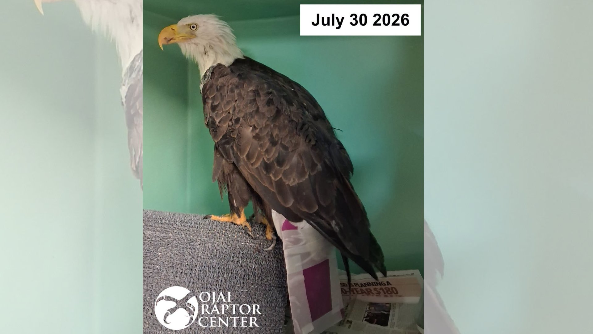 https://img-s-msn-com.akamaized.net/tenant/amp/entityid/AA299Dff.img?w=768&h=432&m=4&q=84