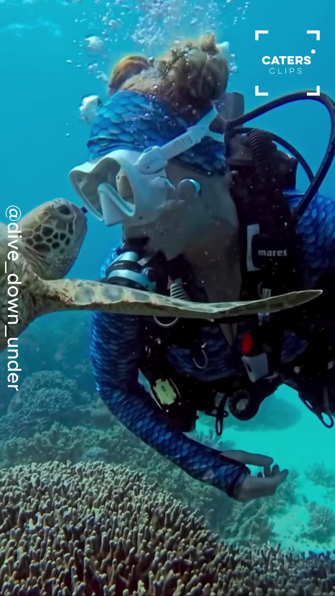 Unexpected sea turtle encounter captured underwater