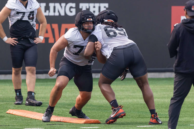 'Violence will be celebrated': Oregon State football assistant pushes ...