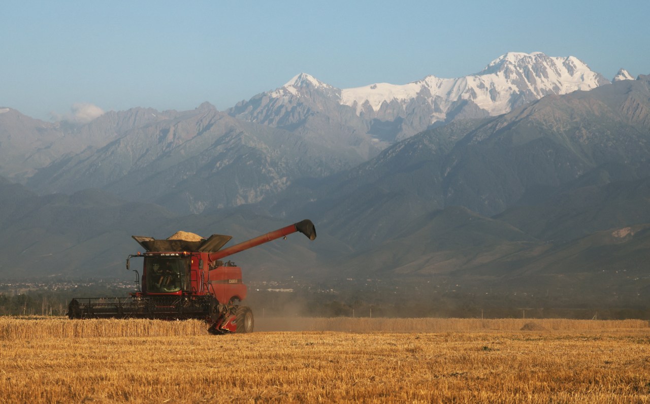 Food prices rise in July as weather, wars lift costs and weigh on crop ...