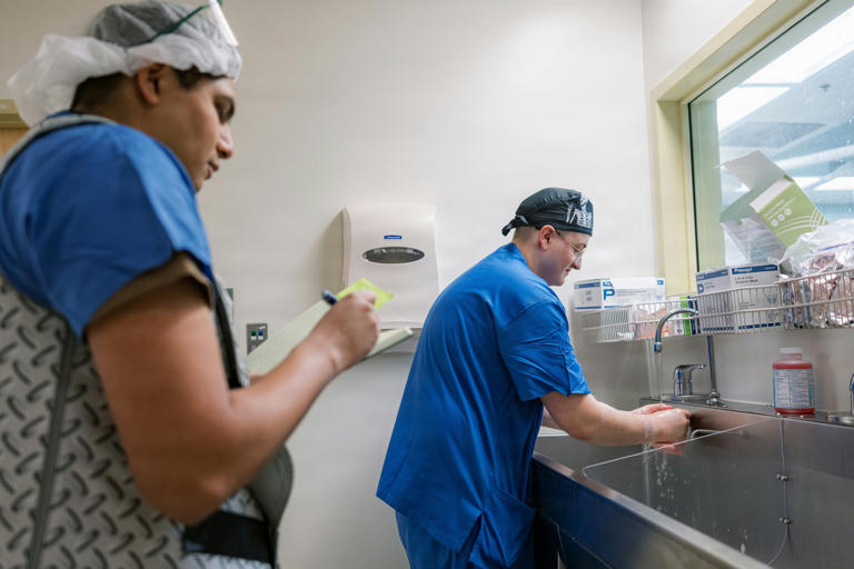 Germany scraps hospital warm-water mandate, warns of legionella in hot ...