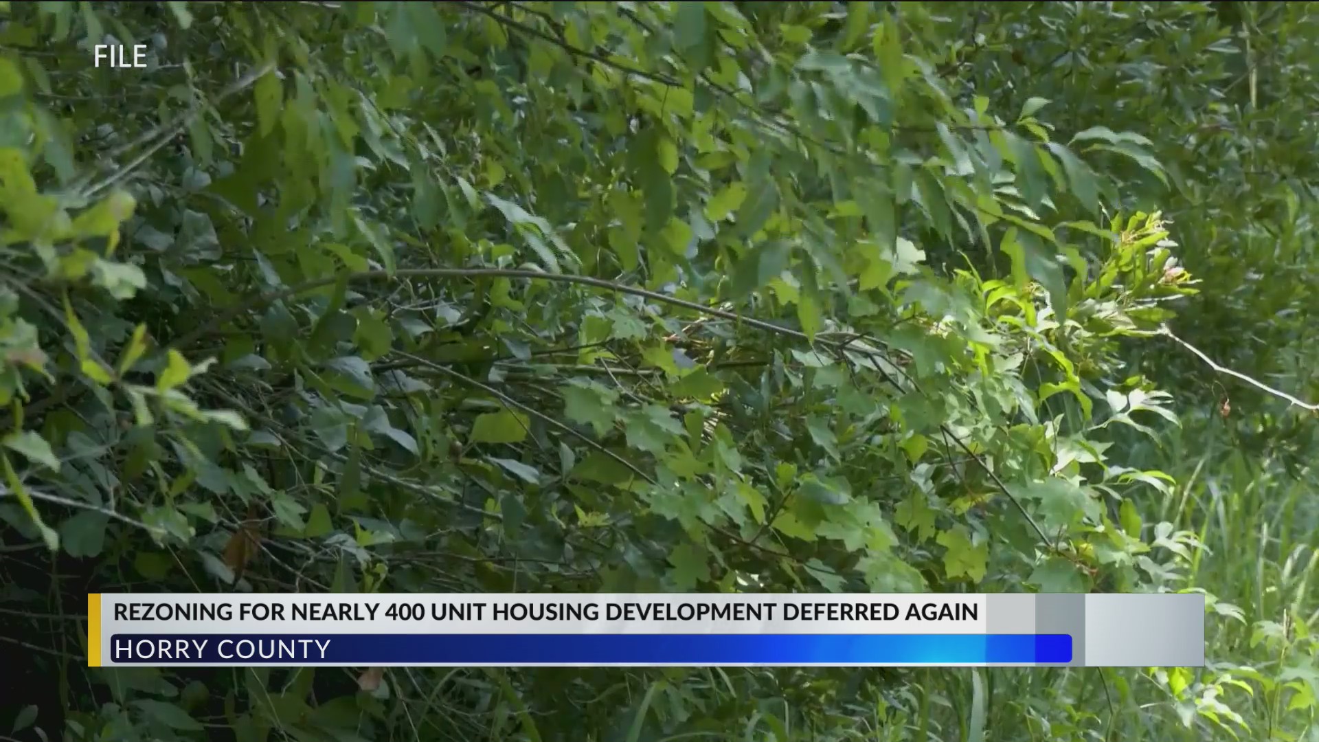 Horry County Planning Commission again defers 400-unit housing ...
