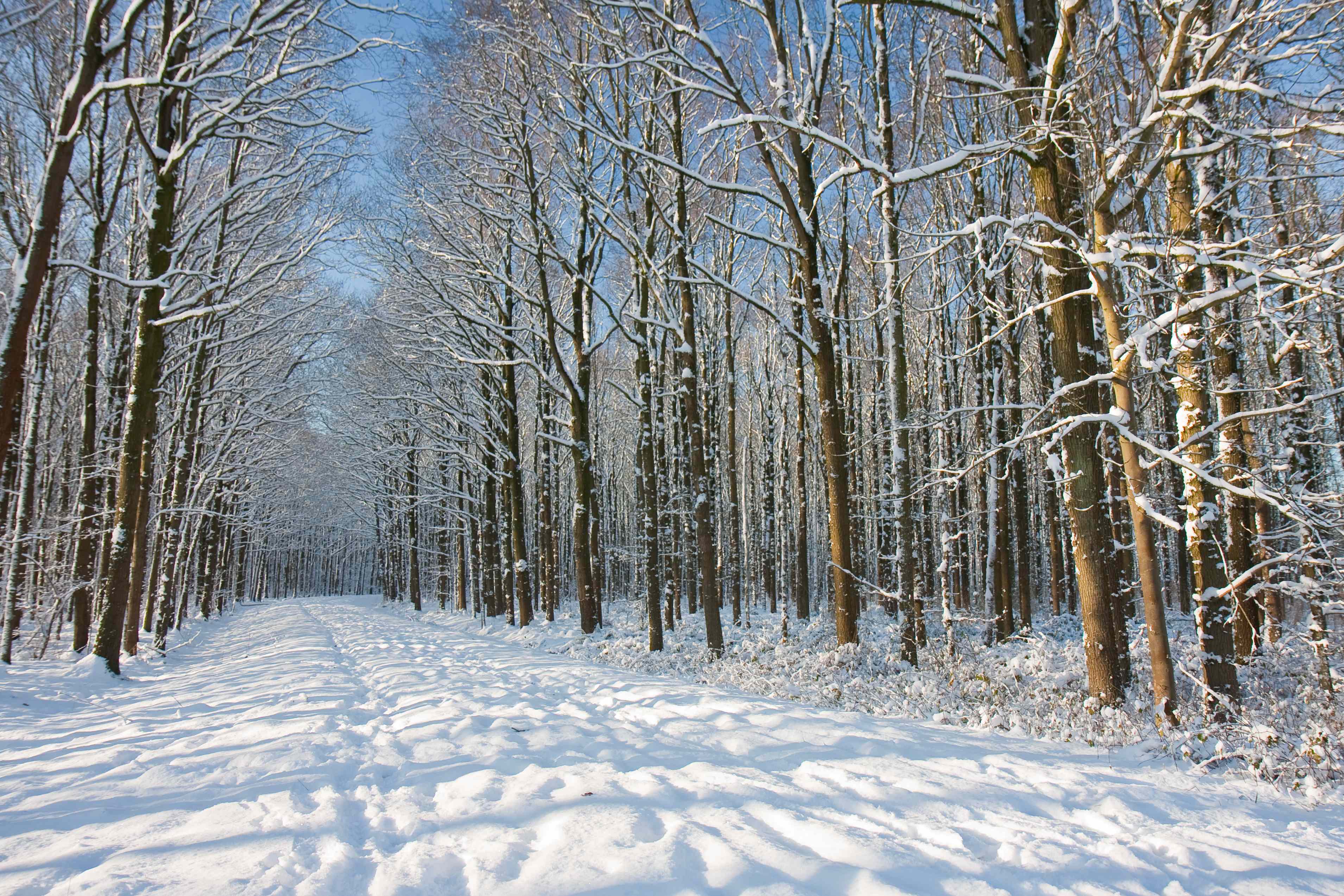 the-farmers-almanac-predicts-a-wet-and-stormy-winter-see-what-s-in