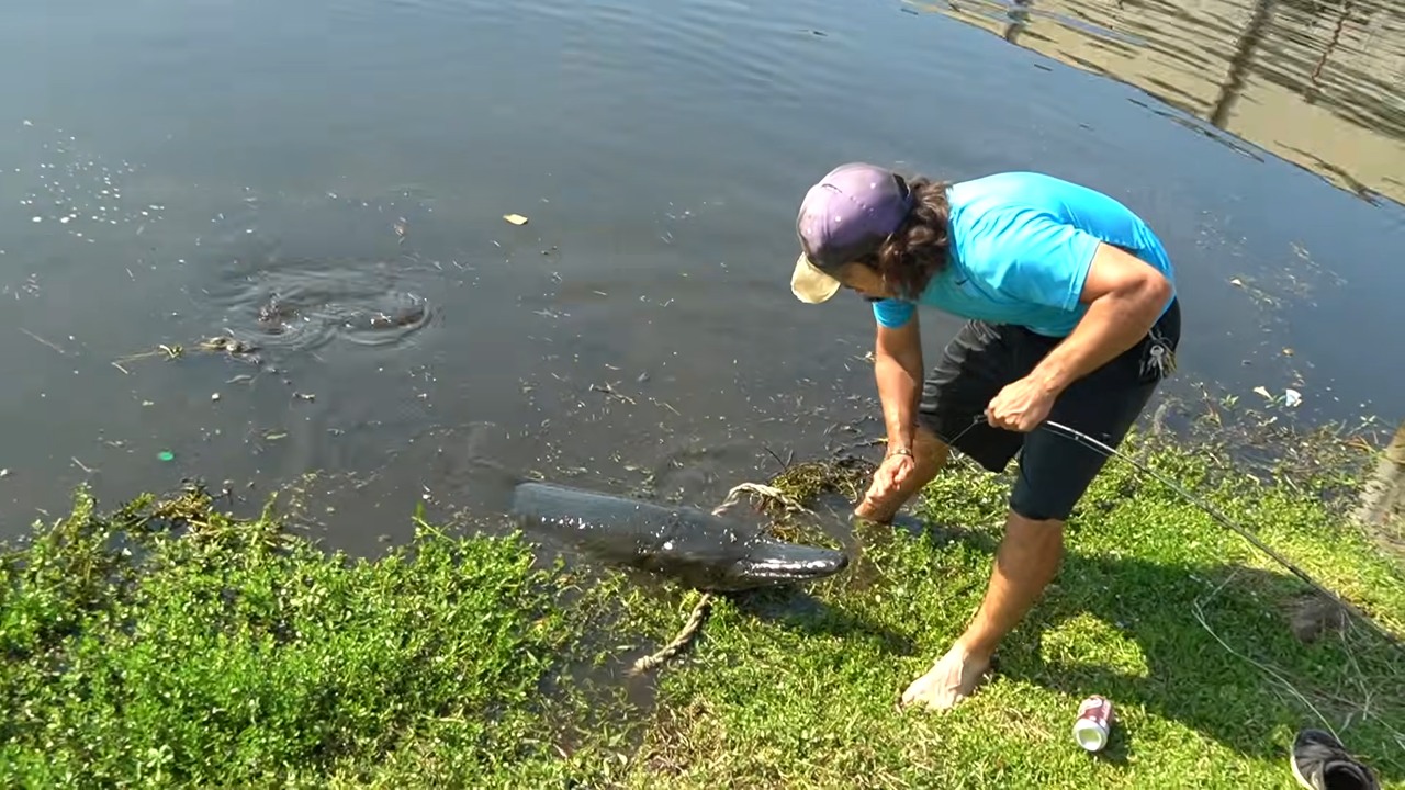 The canal began boiling with alligator-sized bubbles... then a monster ...
