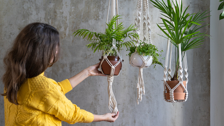 Steps for successfully suspending plants from the ceiling